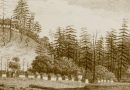 Norfolk Island Convict Ancestry Tour: March 2025