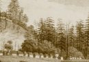 Kitty Transport era from Norfolk Island 1793