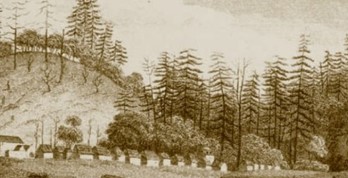 Kitty Transport era from Norfolk Island 1793